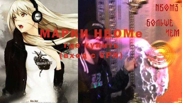 ПСИЛОЦИБИНОВЫЕ ГРИБЫ Верея