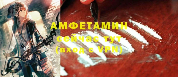 ПСИЛОЦИБИНОВЫЕ ГРИБЫ Верея