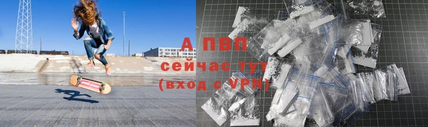 ПСИЛОЦИБИНОВЫЕ ГРИБЫ Верея