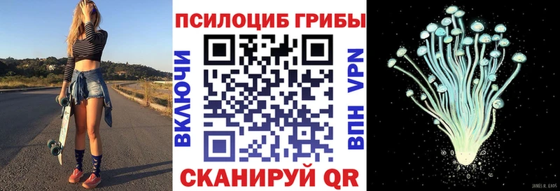 блэк спрут   Вилючинск  Галлюциногенные грибы Magic Shrooms 